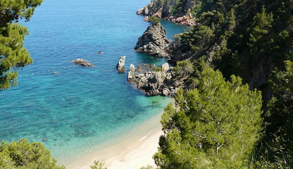 Apartament Antic Plankton - Calella Palafrugell - Free Parking, Beach, Wifi, Perfect Holidays Calella De Palafrugell Εξωτερικό φωτογραφία
